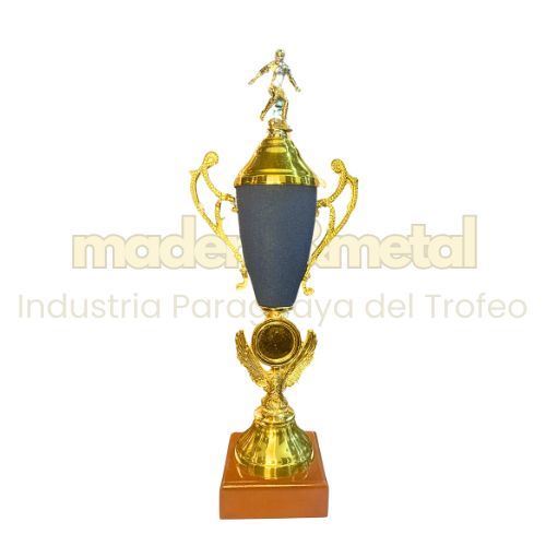Imagen de Copa de metal con tapa - M5.1701